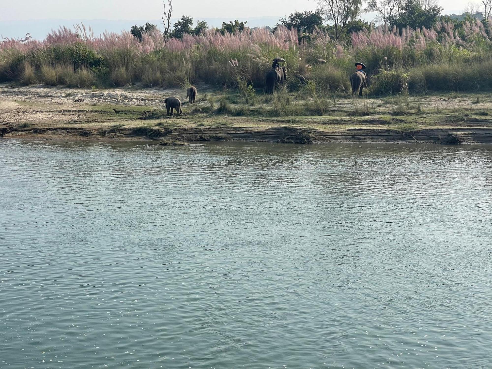 Chitwan Riverside Resort โซราฮา ภายนอก รูปภาพ