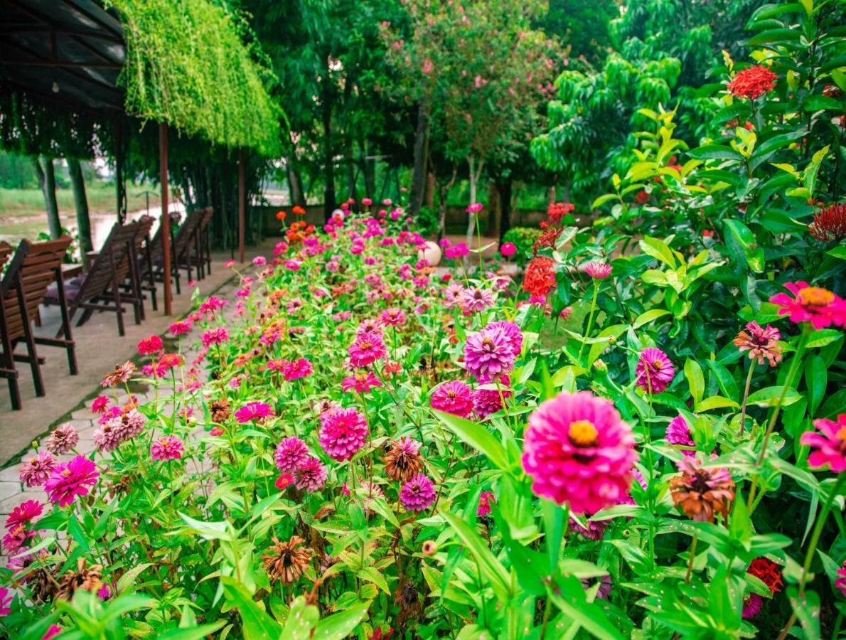 Chitwan Riverside Resort โซราฮา ภายนอก รูปภาพ